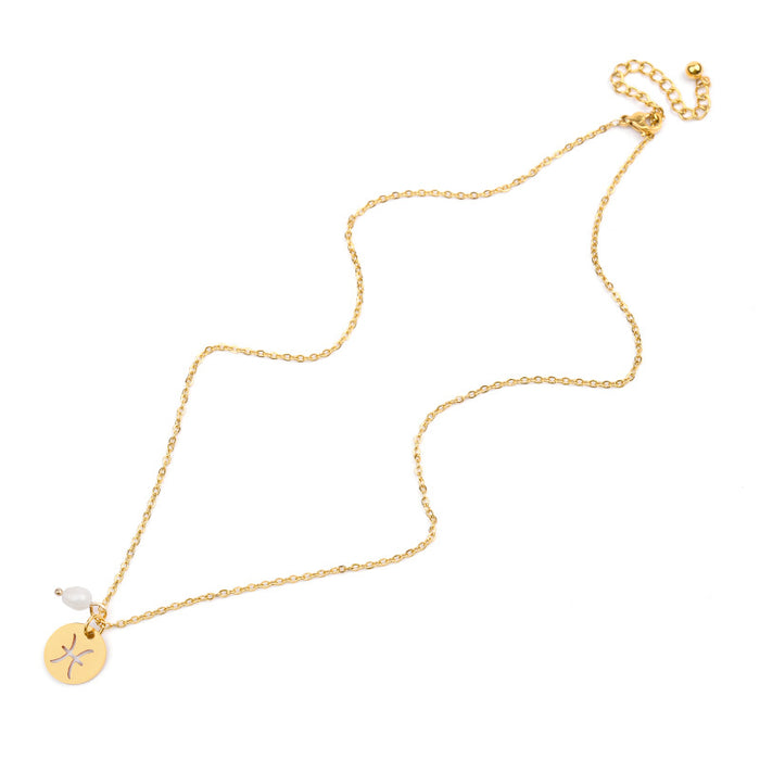 Stainless steel Zodiac Necklace