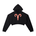 Aries,Hoodie,Zodiac